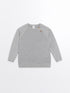 LC Waikiki Crew Neck Long Sleeve Baby Boy Knitwear Sweater